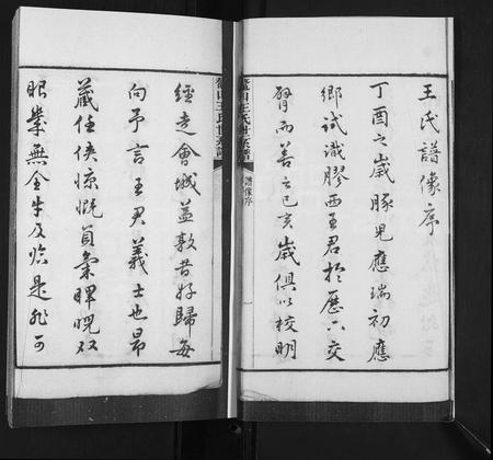 山东王氏-鳌山王氏世系谱.pdf电子版插图3