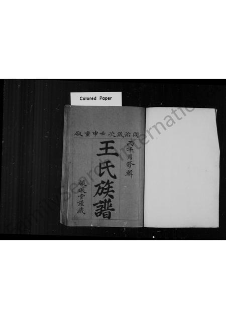 山东王氏-王氏族谱.pdf电子版插图1