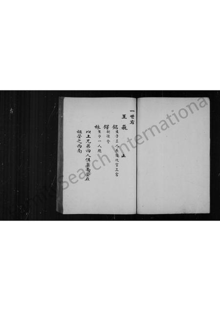 山东王氏-王氏族谱.pdf电子版插图2