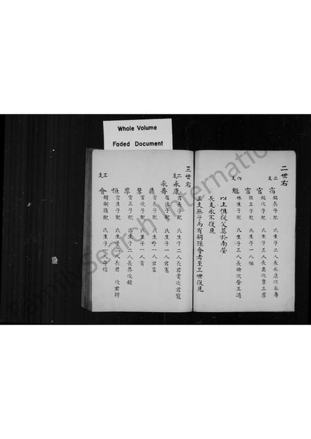 山东王氏-王氏族谱.pdf电子版插图3