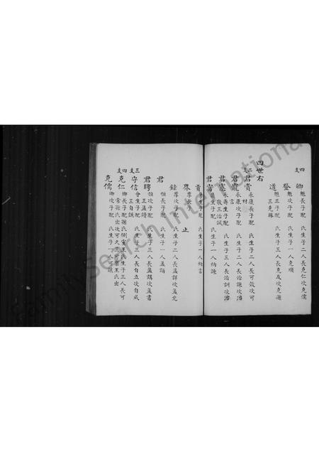 山东王氏-王氏族谱.pdf电子版插图4