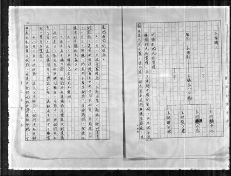 山东王氏-王氏族谱.pdf电子版插图2 山东王氏-王氏族谱.pdf电子版插图2