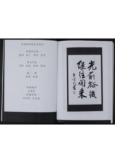 山东王氏-莱芜市钢城区陈家庄王氏家谱 [不分卷].pdf电子版插图2