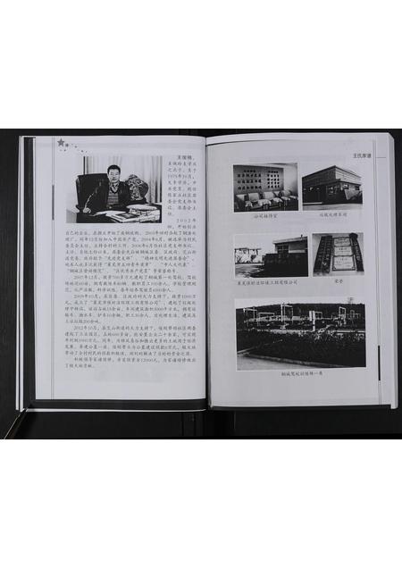 山东王氏-莱芜市钢城区陈家庄王氏家谱 [不分卷].pdf电子版插图4