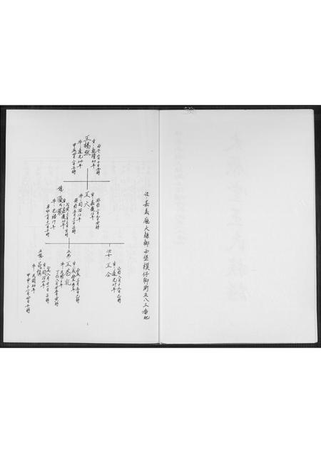 山西王氏-太原堂王氏族谱.pdf电子版插图2