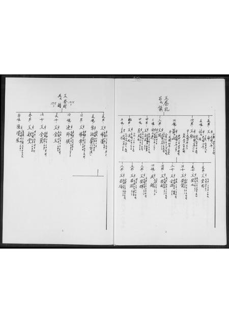 山西王氏-太原堂王氏族谱.pdf电子版插图3