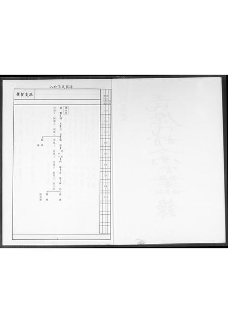 山西王氏-太原堂王氏历代始太高曾祖老妣录.pdf电子版插图2
