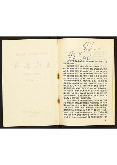 山西王氏-山西省平鲁县武家沟村村史及其王氏家谱.pdf电子版插图3