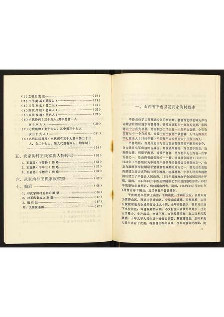 山西王氏-山西省平鲁县武家沟村村史及其王氏家谱.pdf电子版插图5