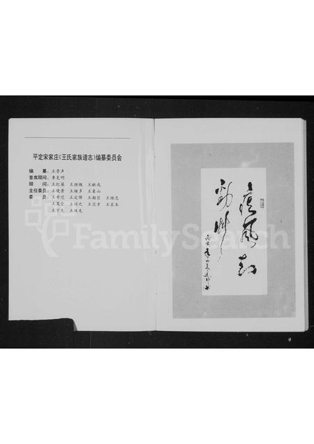 山西王氏-平定宋家庄王氏家族谱志.pdf电子版插图2