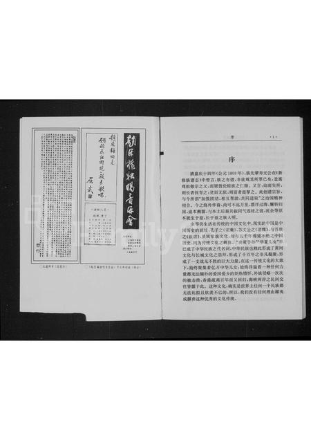 山西王氏-平定宋家庄王氏家族谱志.pdf电子版插图5