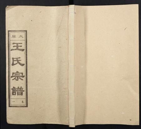 山西王氏-王氏宗谱.pdf电子版插图 山西王氏-王氏宗谱.pdf电子版插图