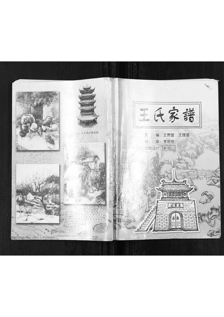 山西王氏-王氏家谱.pdf电子版插图