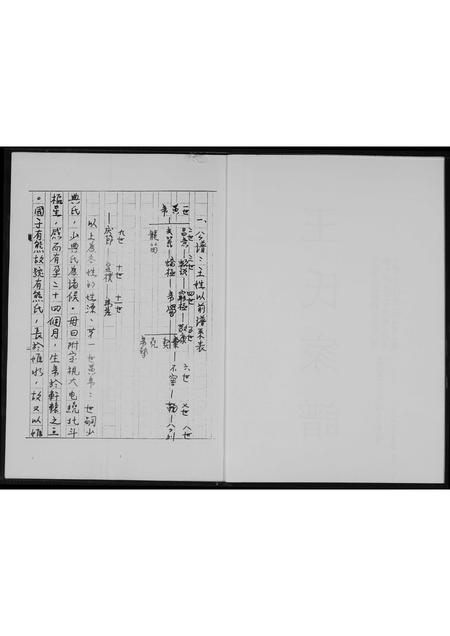 山西王氏-王氏家谱.pdf电子版插图2