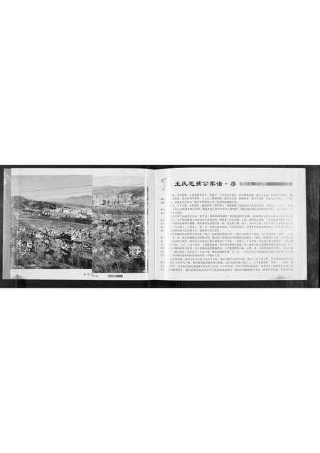 山西王氏-王氏家谱[1卷].pdf电子版插图3