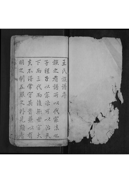 山西王氏-王氏族谱[7卷].pdf电子版插图1