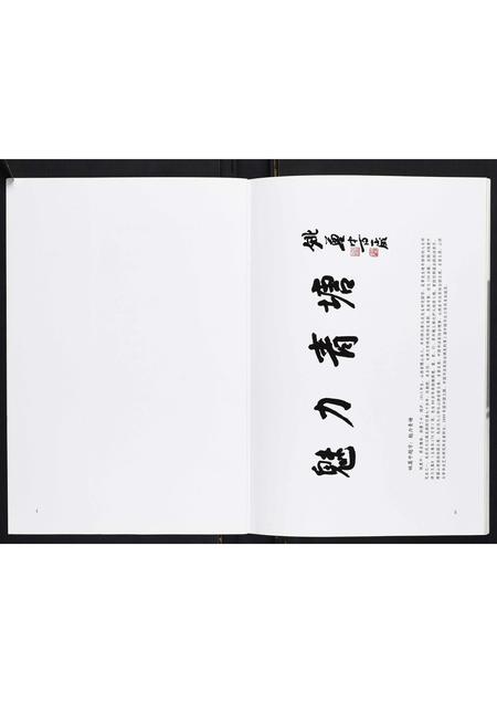 山西王氏-青塘王氏宗谱[不分卷].pdf电子版插图3