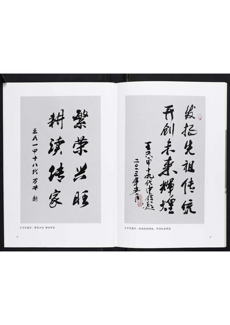 山西王氏-青塘王氏宗谱[不分卷].pdf电子版插图5