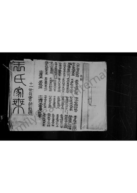 山西王氏-王氏家谱.pdf电子版插图1