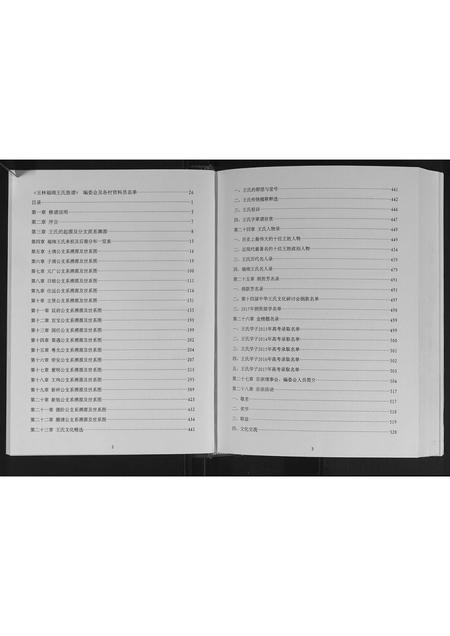 广西王氏-玉林王氏族谱.pdf电子版插图1