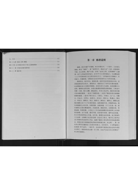 广西王氏-玉林王氏族谱.pdf电子版插图2