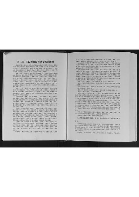 广西王氏-玉林王氏族谱.pdf电子版插图4
