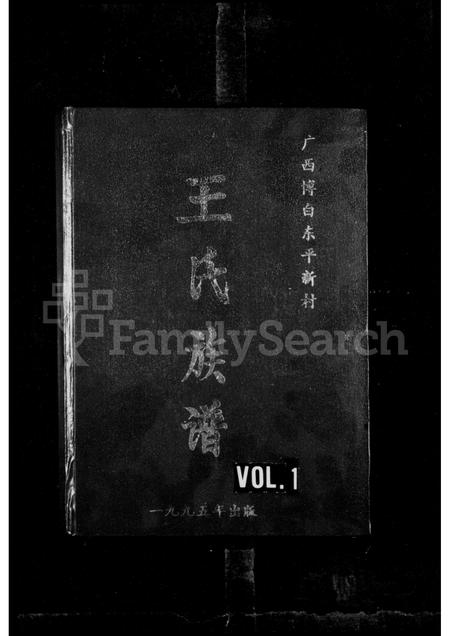 广西王氏-王氏族谱.pdf电子版插图