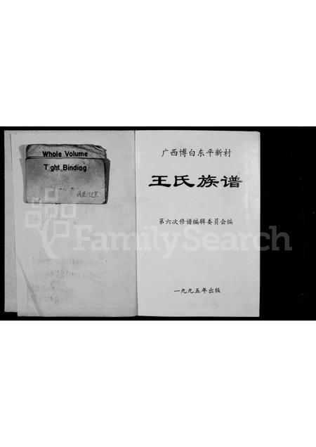 广西王氏-王氏族谱.pdf电子版插图1