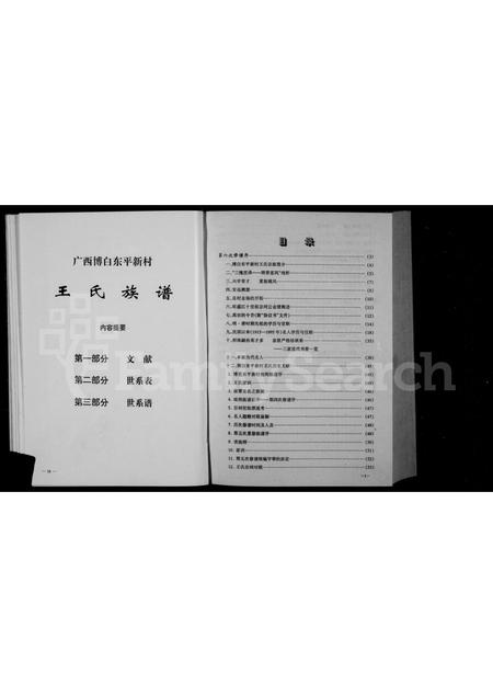 广西王氏-王氏族谱.pdf电子版插图4