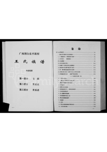 广西王氏-王氏族谱.pdf电子版插图5