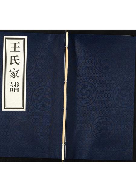 河北王氏-王氏家谱.pdf电子版插图