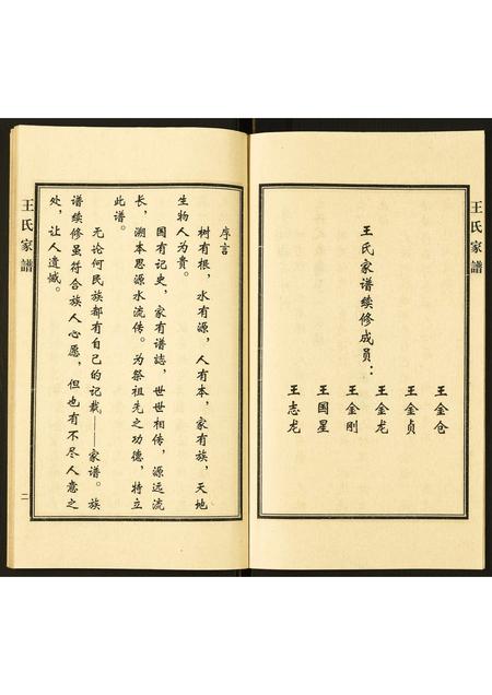 河北王氏-王氏家谱.pdf电子版插图3