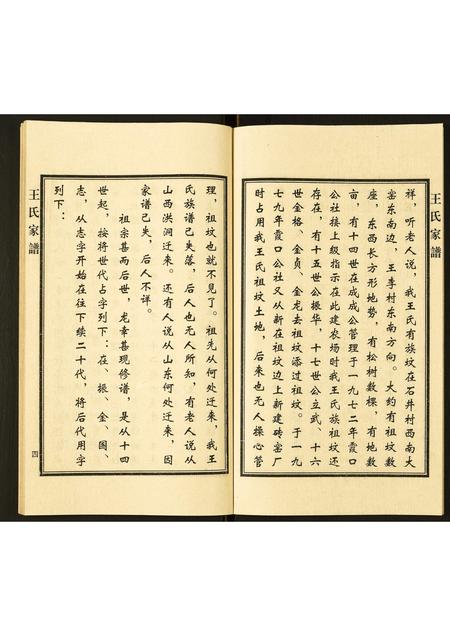 河北王氏-王氏家谱.pdf电子版插图5