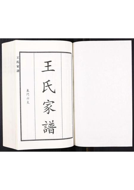 河北王氏-王氏家谱.pdf电子版插图1