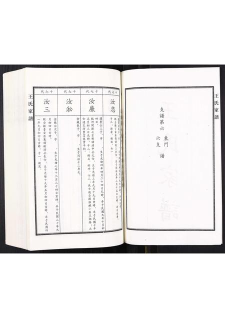 河北王氏-王氏家谱.pdf电子版插图2