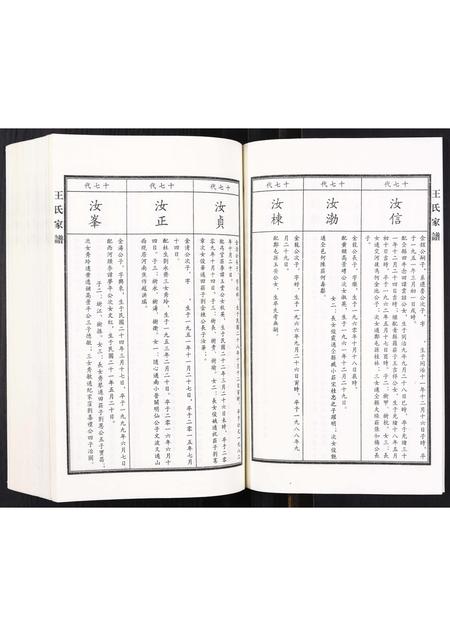 河北王氏-王氏家谱.pdf电子版插图3