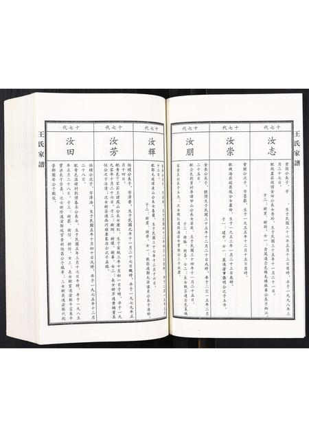 河北王氏-王氏家谱.pdf电子版插图4