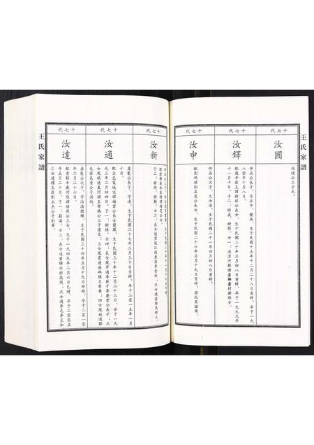 河北王氏-王氏家谱.pdf电子版插图5