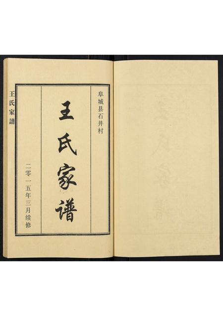 河北王氏-王氏家谱.pdf电子版插图1