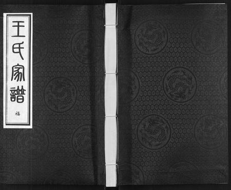 河北王氏-王氏家谱[5卷].pdf电子版