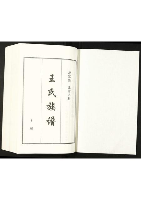 河北王氏-王氏族谱.pdf电子版插图1