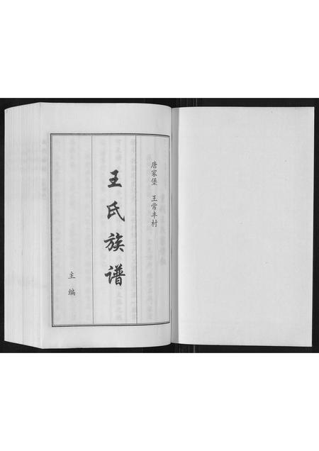 河北王氏-王氏族谱.pdf电子版插图1