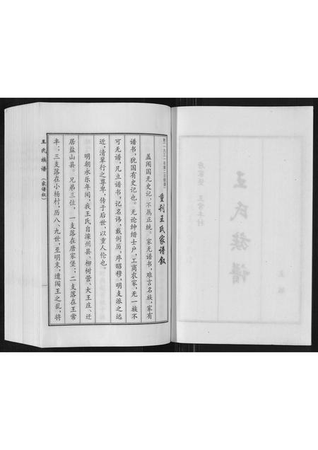 河北王氏-王氏族谱.pdf电子版插图2