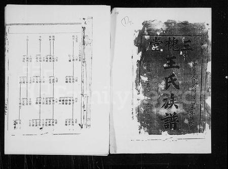 海南王氏-三槐堂王氏族谱 [残卷](别名：王氏族谱).pdf电子版插图1