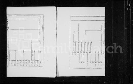 海南王氏-三槐堂王氏族谱 [残卷](别名：王氏族谱).pdf电子版插图2