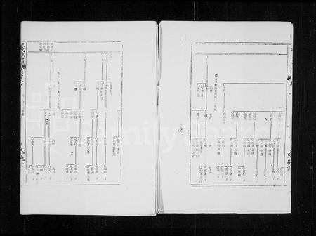 海南王氏-三槐堂王氏族谱 [残卷](别名：王氏族谱).pdf电子版插图3
