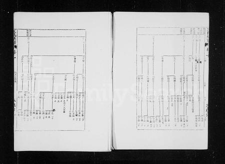 海南王氏-三槐堂王氏族谱 [残卷](别名：王氏族谱).pdf电子版插图4