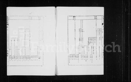海南王氏-三槐堂王氏族谱 [残卷](别名：王氏族谱).pdf电子版插图5