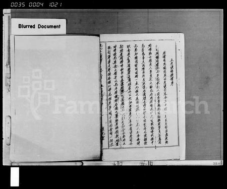 海南王氏-南九王氏族谱 [6卷,首1卷,附1卷].pdf电子版插图4