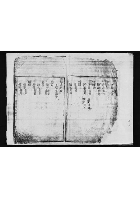 海南王氏-王氏族谱 [残卷](别名：Wang Shi Zu Pu).pdf电子版插图4
